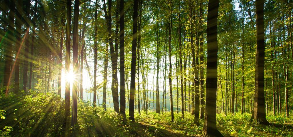 Retrouvez nous sur facebook - R2B